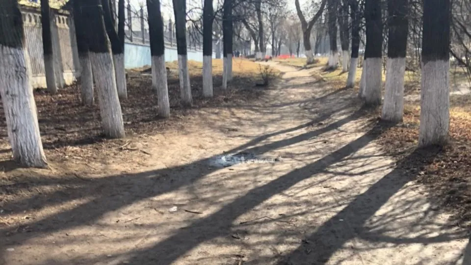 Асфальтовое покрытие тротуара обновят на улице Большая Серпуховская в Подольске