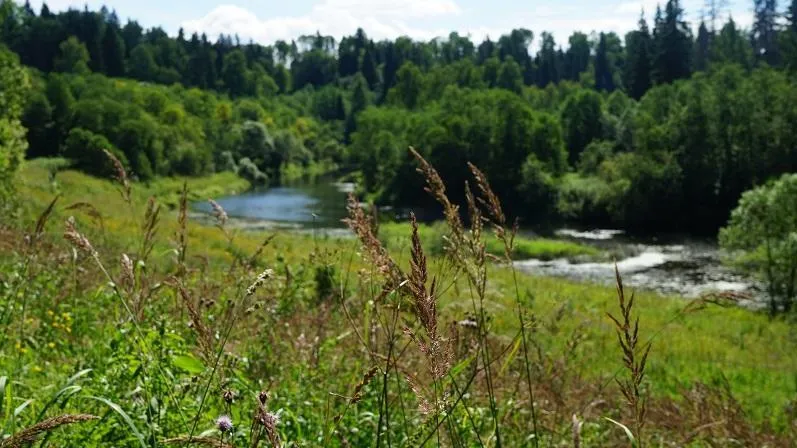Минэкологии приглашает к участию в конкурсе молодых работников заповедного дела