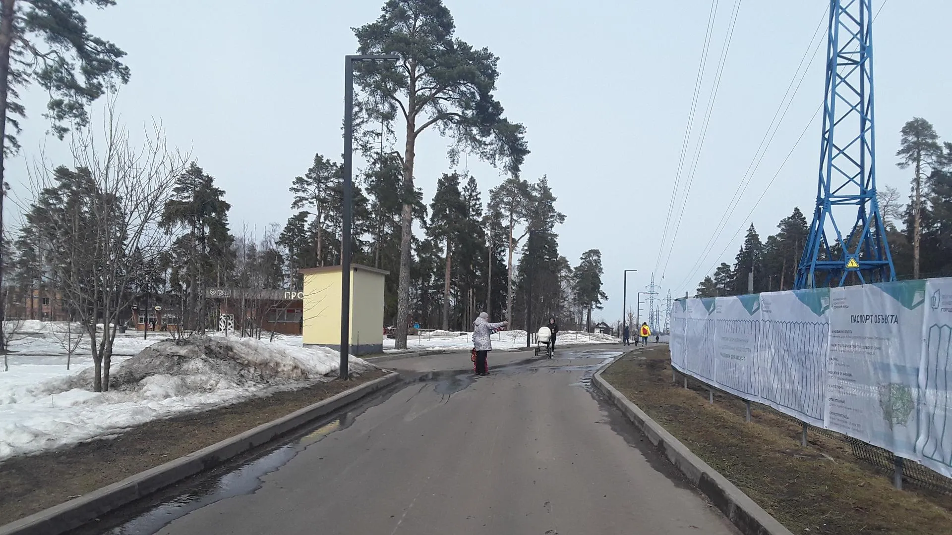 30 га лесной части Пестовского парка в Балашихе планируют благоустроить к концу лета
