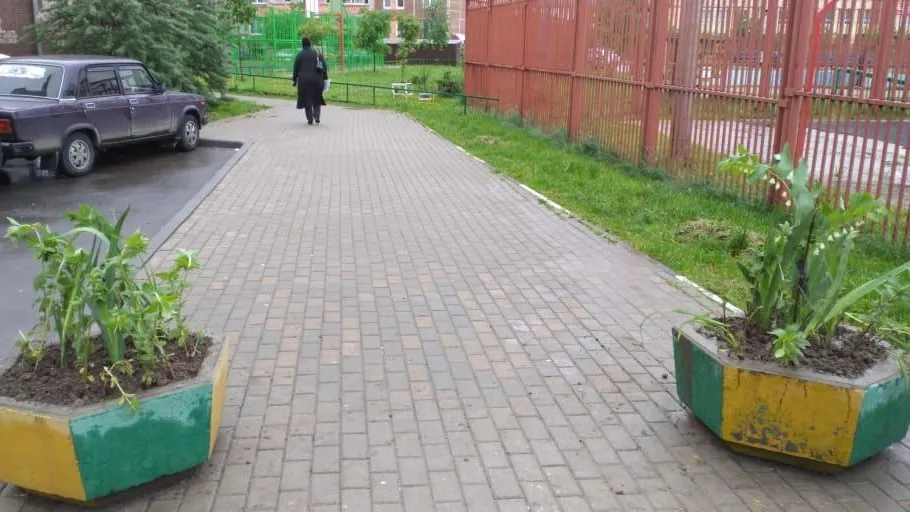 Цветы высадили во дворе микрорайона Кузнечики Подольска