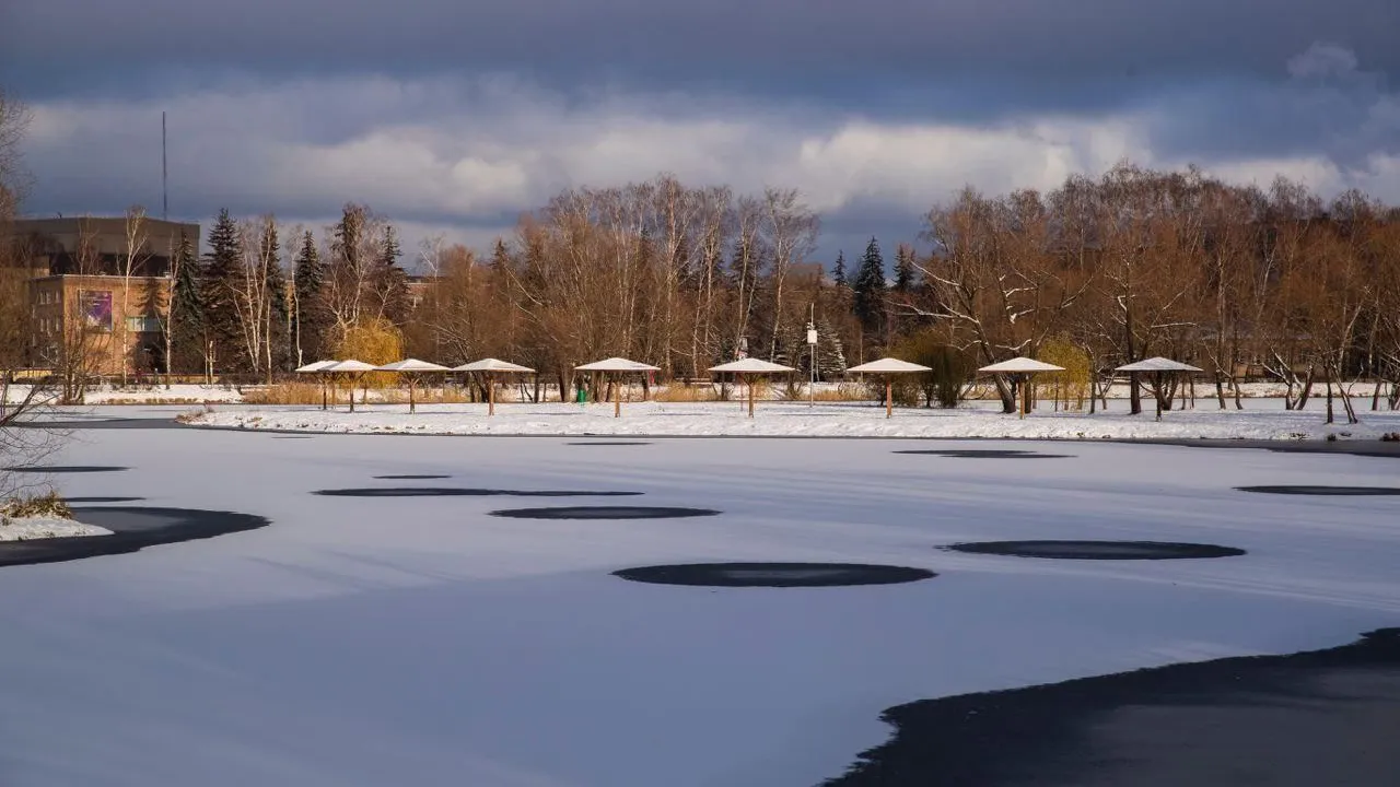 Новый парк может появится в Реутове