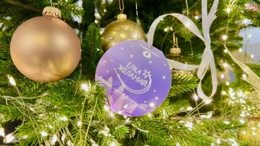 Министр стройкомплекса Подмосковья принял участие в новогодней акции «Елка желаний»