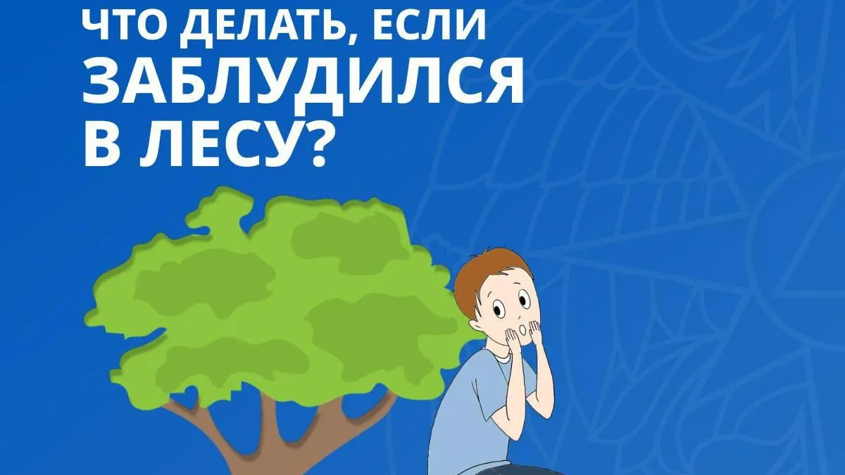 В МЧС России рассказали, что делать, если заблудился в лесу