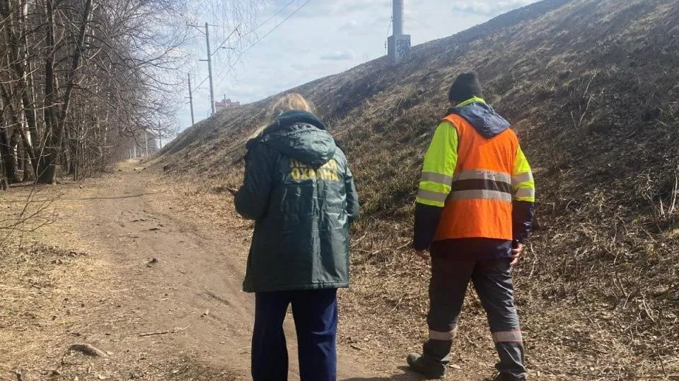 Лесничие осмотрели места прилегания ж/д к лесу в четырех округах Подмосковья