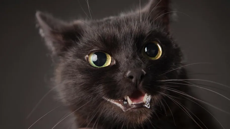 Ingram Publishing / Фотобанк Лори