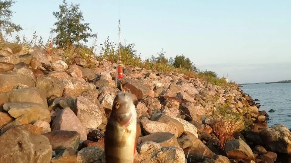 В Подмосковье с 22 марта вводят запрет на рыбалку до 10 июня