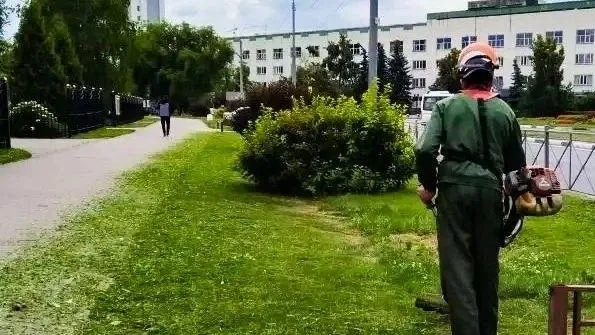 В Мытищах ежедневно проводится уборка территорий
