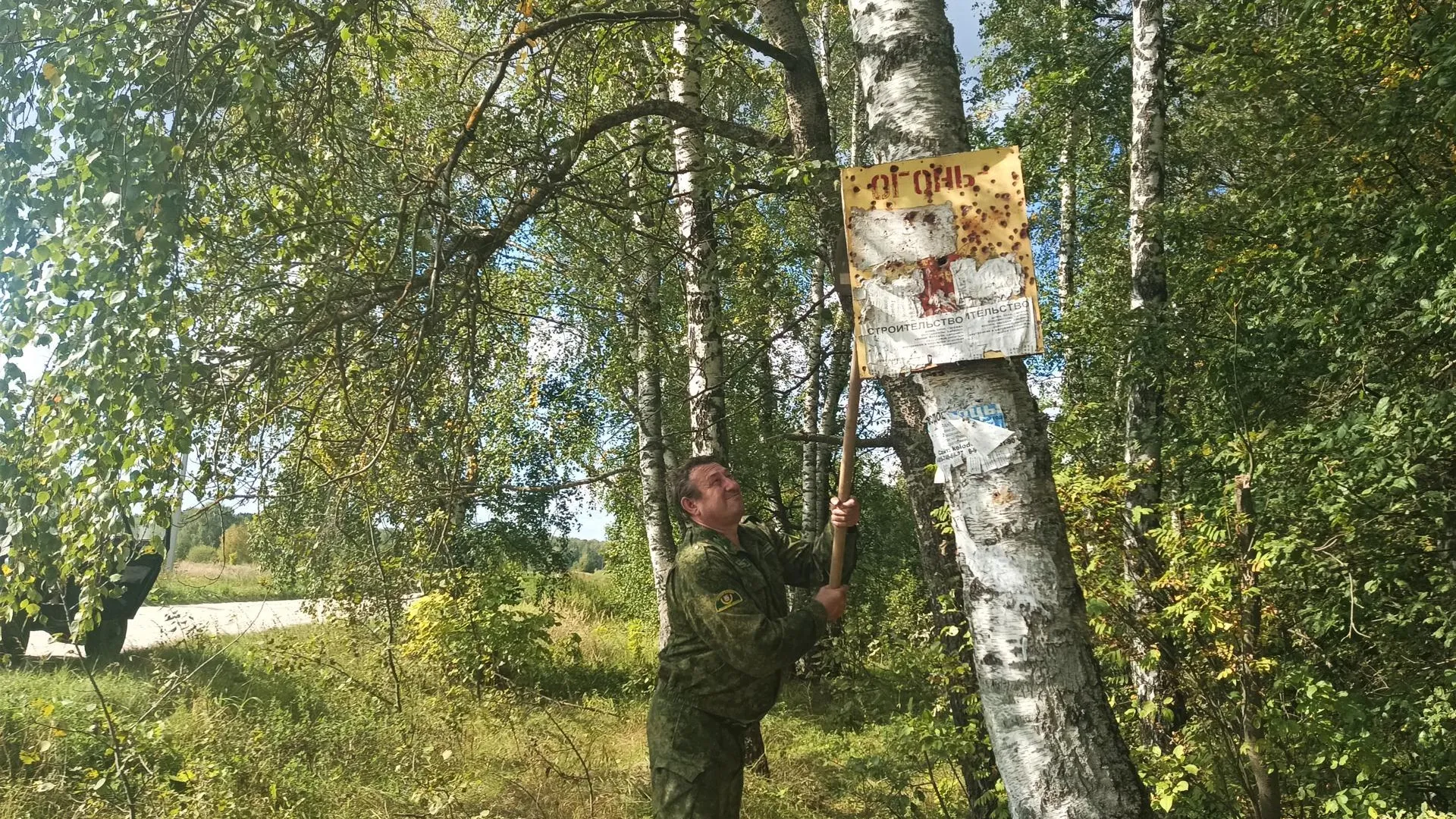 Незаконные вывески убрали с деревьев на территории лесных фондов Подмосковья