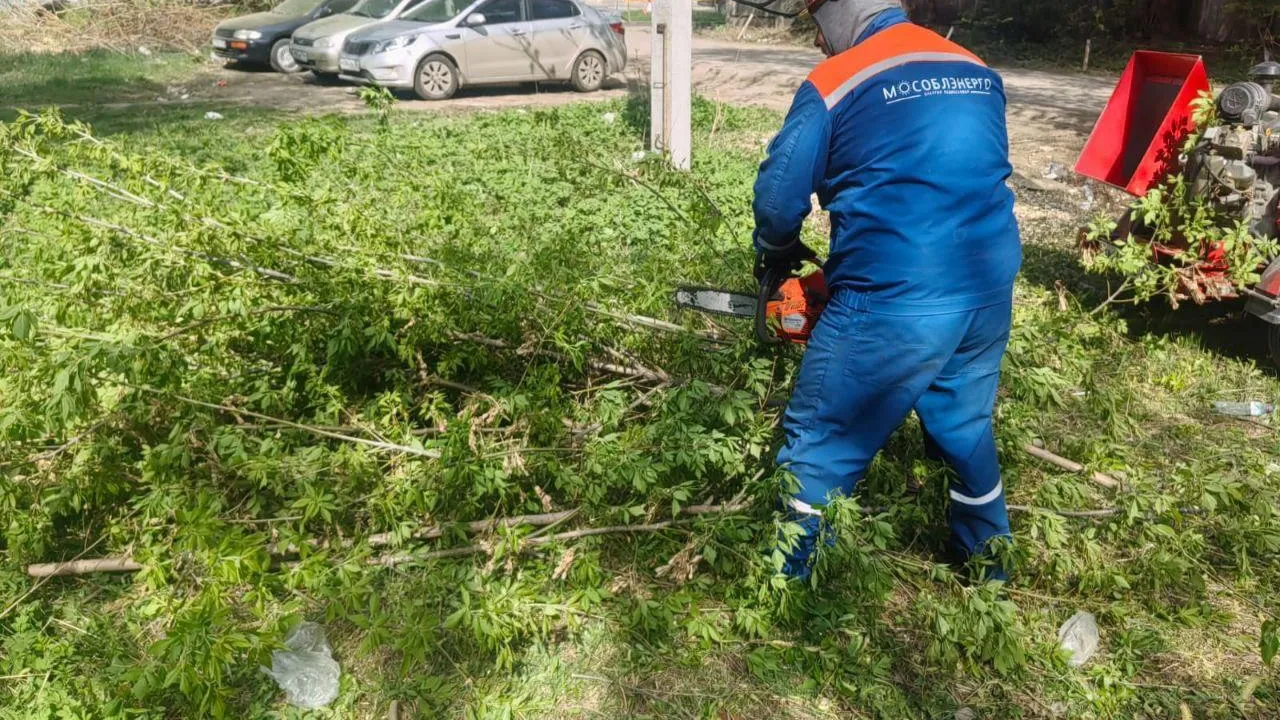 Энергетики Подмосковья расчистили более 2,9 тыс га охранных зон ЛЭП в 2025 году
