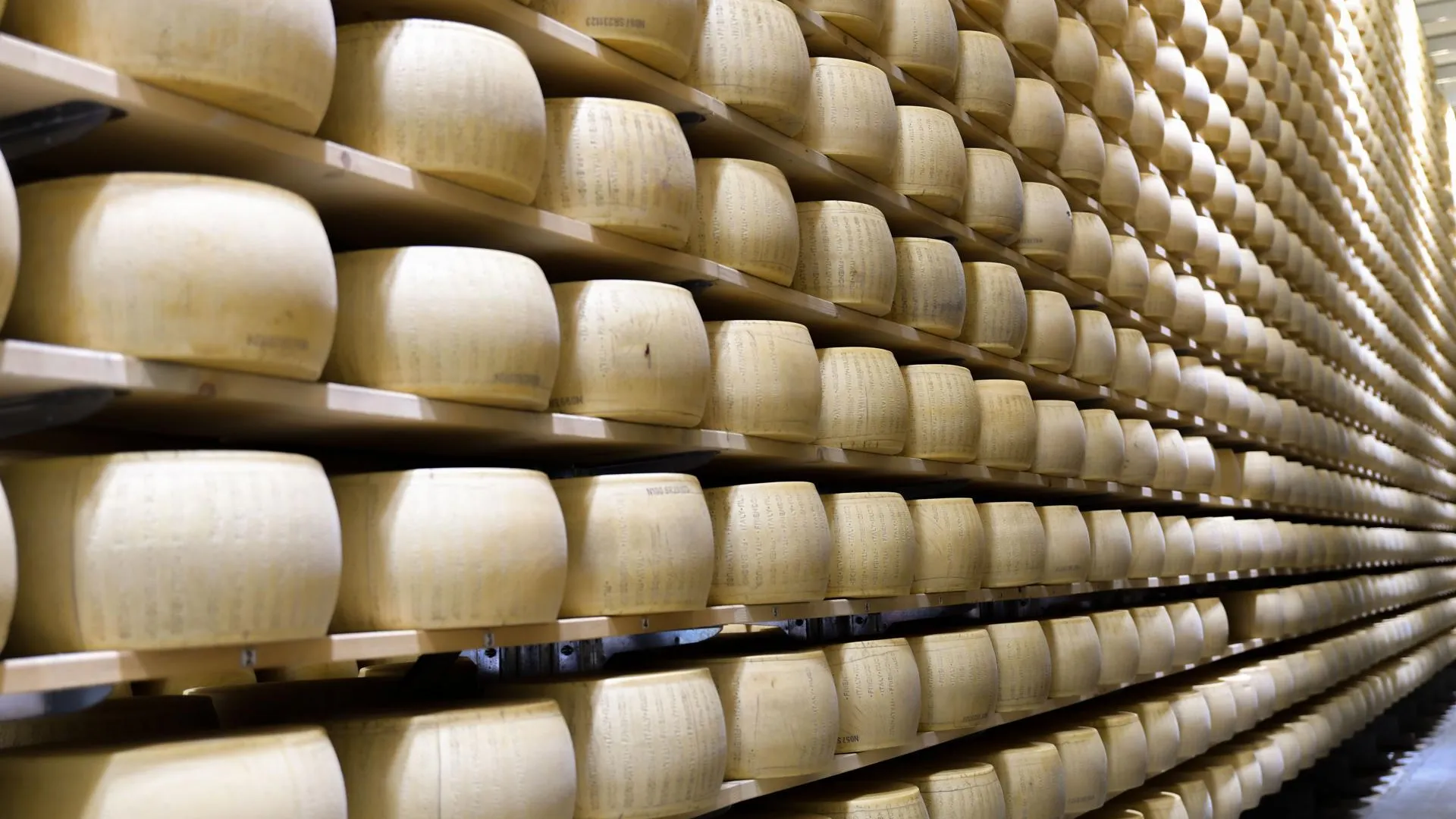 В Подмосковье построят завод по производству сыров и сухих молочных продуктов