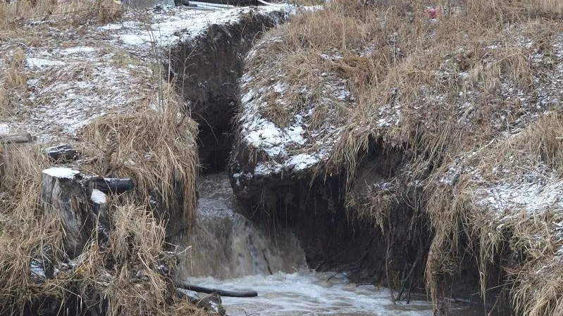 Более 1,1 тыс несанкционированных водовыпусков ликвидировали в Подмосковье в 2024 году