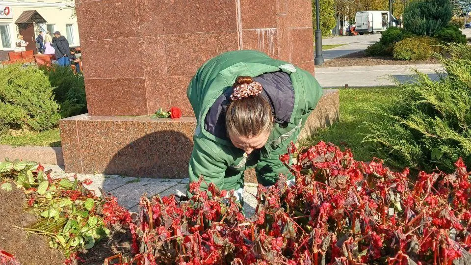 Коммунальные службы Подмосковья приступили к подготовке городских клумб к зиме