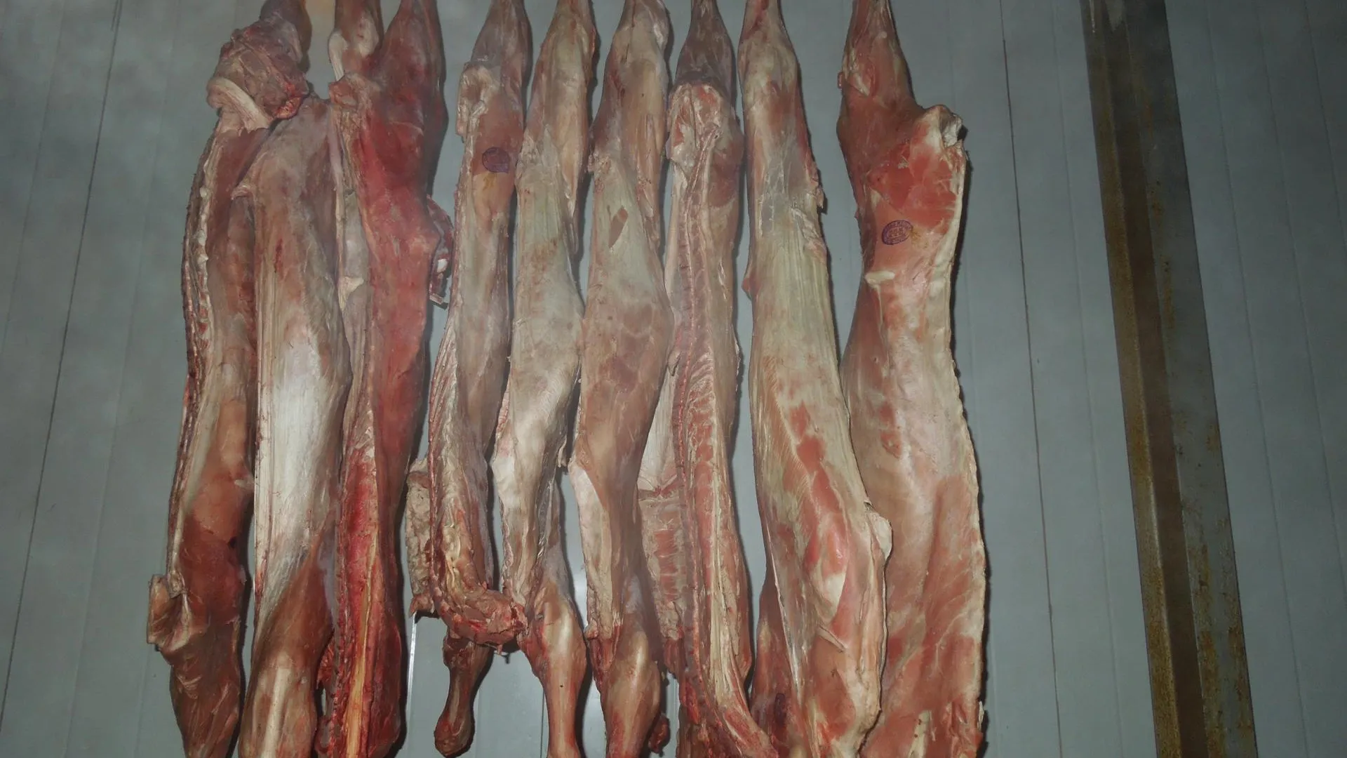 Многочисленные нарушения выявили у производителя мясной продукции из Коломны