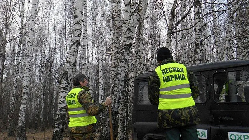 Лесное хозяйство Подмосковья полностью готово к началу пожароопасного сезона