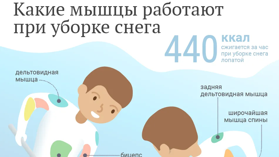 Какие мышцы задействованы при уборке снега лопатой