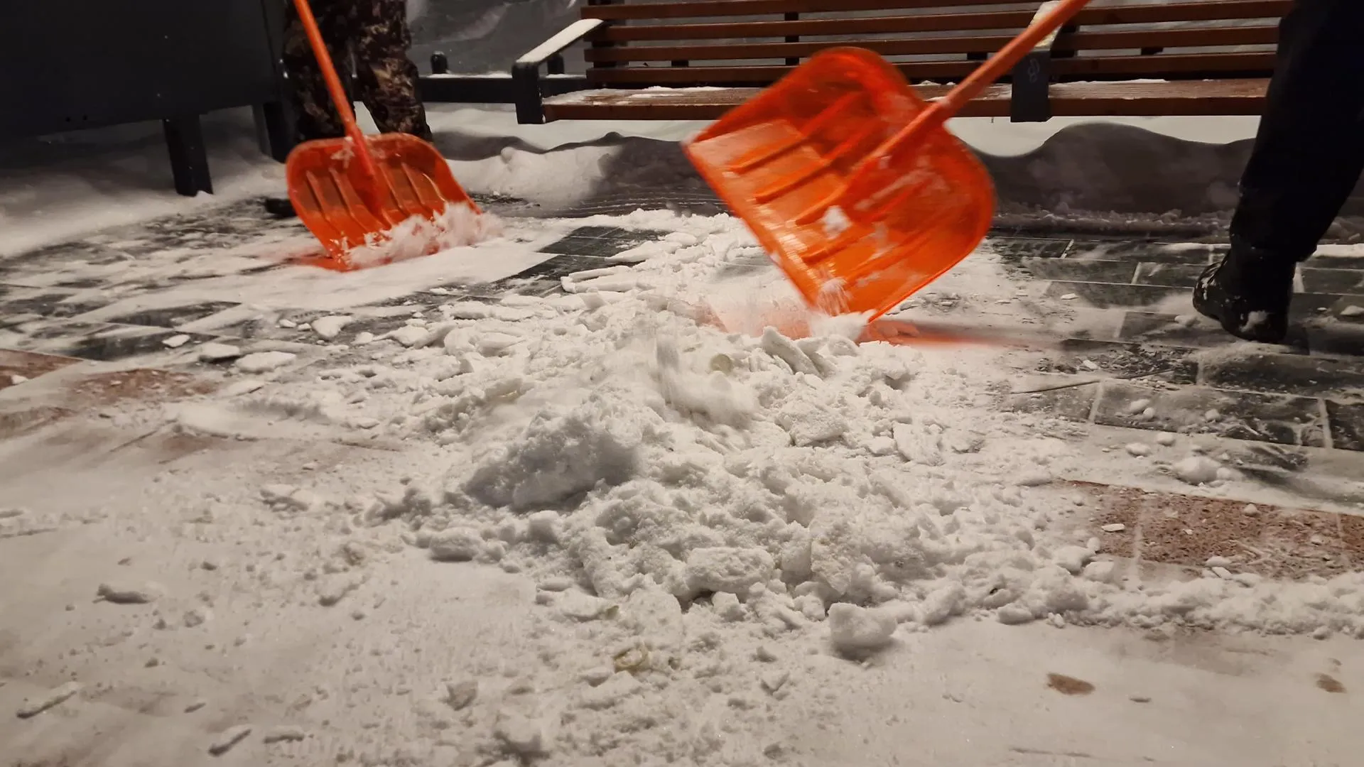 Анастасия Игнатова