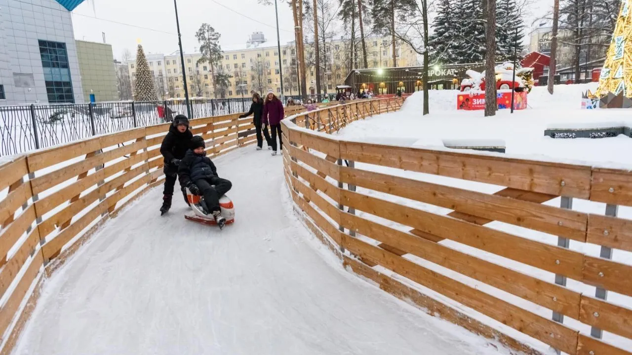 Парк «Пехорка» в Балашихе стал самым посещаемым в Подмосковье на новогодних каникулах