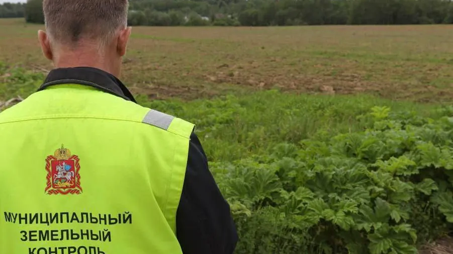 В рамках земельного контроля в Подмосковье осмотрено 50,5 тыс земельных участков