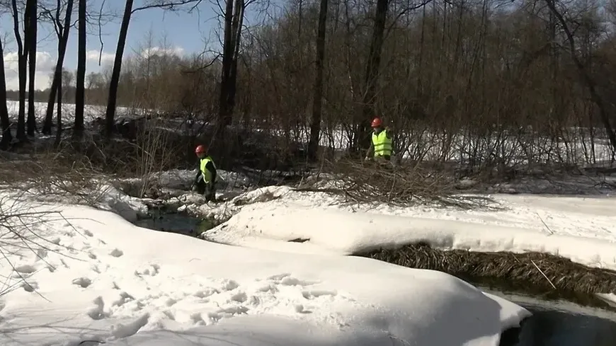 В Подольске приступили к расчистке реки Петрицы