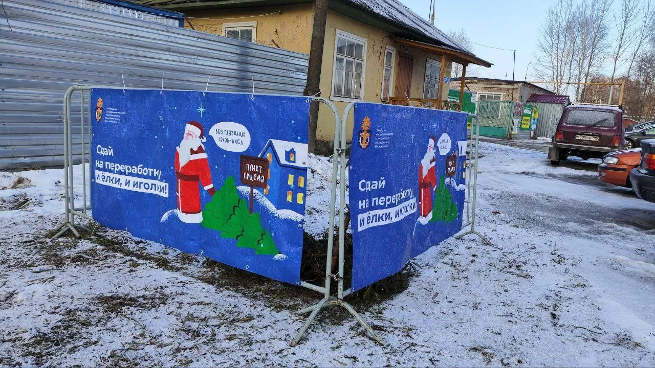 В Дубне начнут принимать новогодние ели на переработку с 15 января