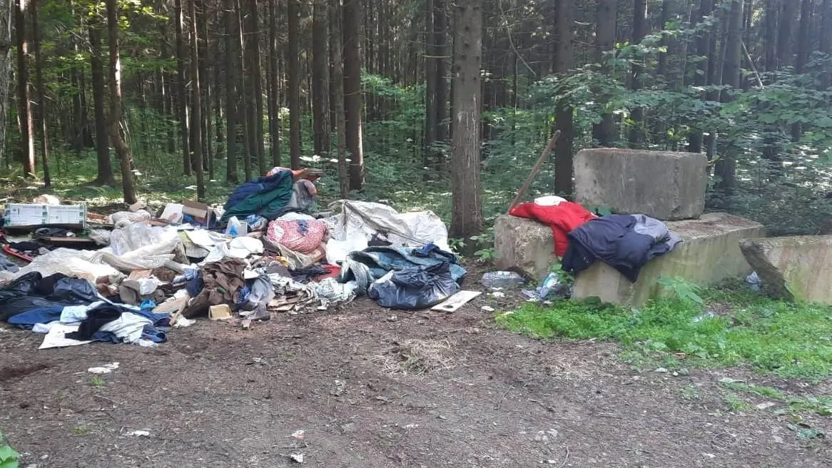Более 650 кубометров мусора вывезли из лесов округа Истра