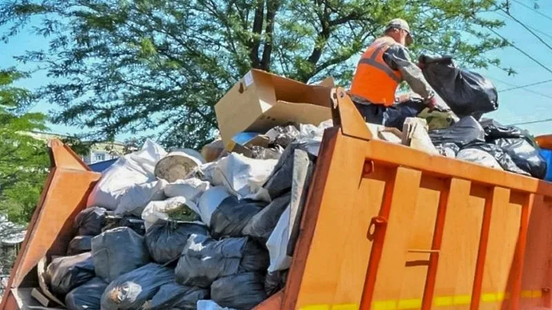 Нарушения экологического законодательства выявили в Истре и Шаховской