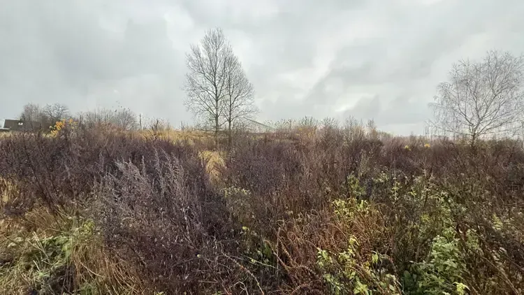 Земельный участок на торгах в Подмосковье