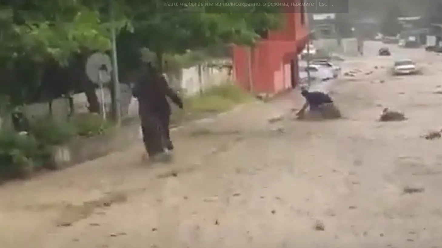 Магомед Омаров спас девочку из потока воды в Дагестане