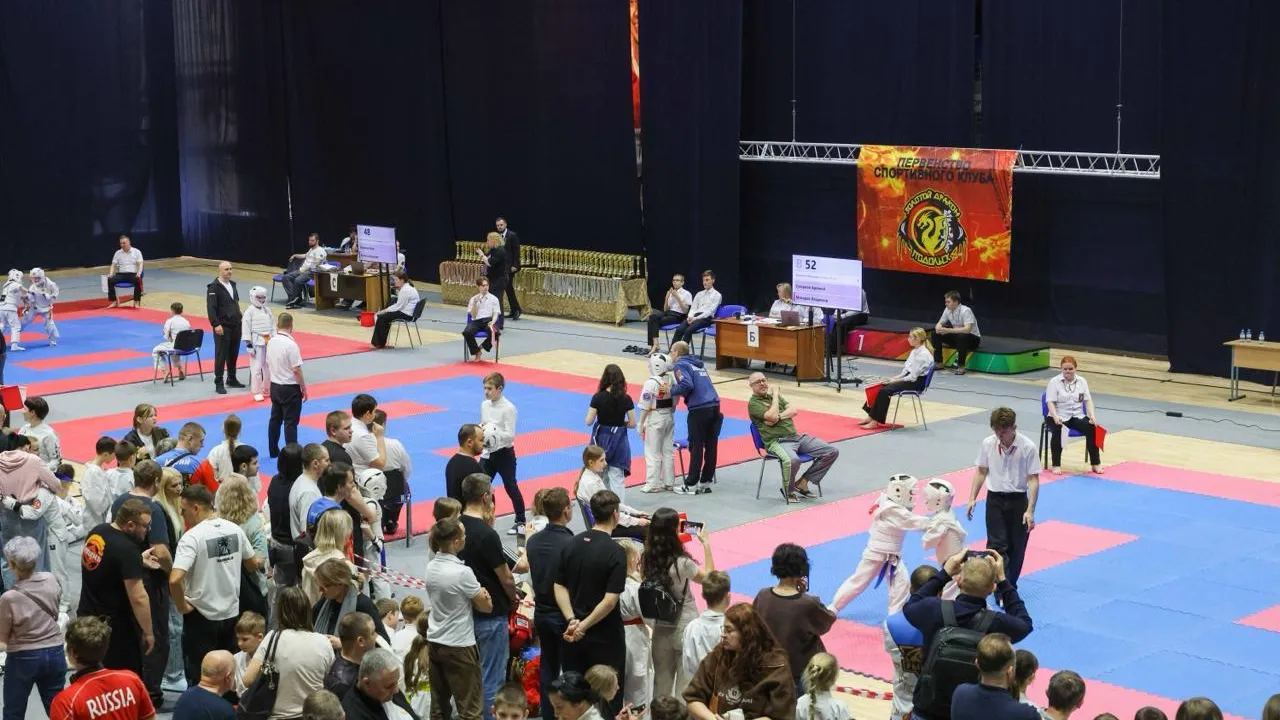 Более 470 спортсменов показали силу и технику на подольском ковре