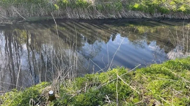 В Подмосковье установлены границы водоохранных зон и прибрежных полос рек Чисмены и Сходни