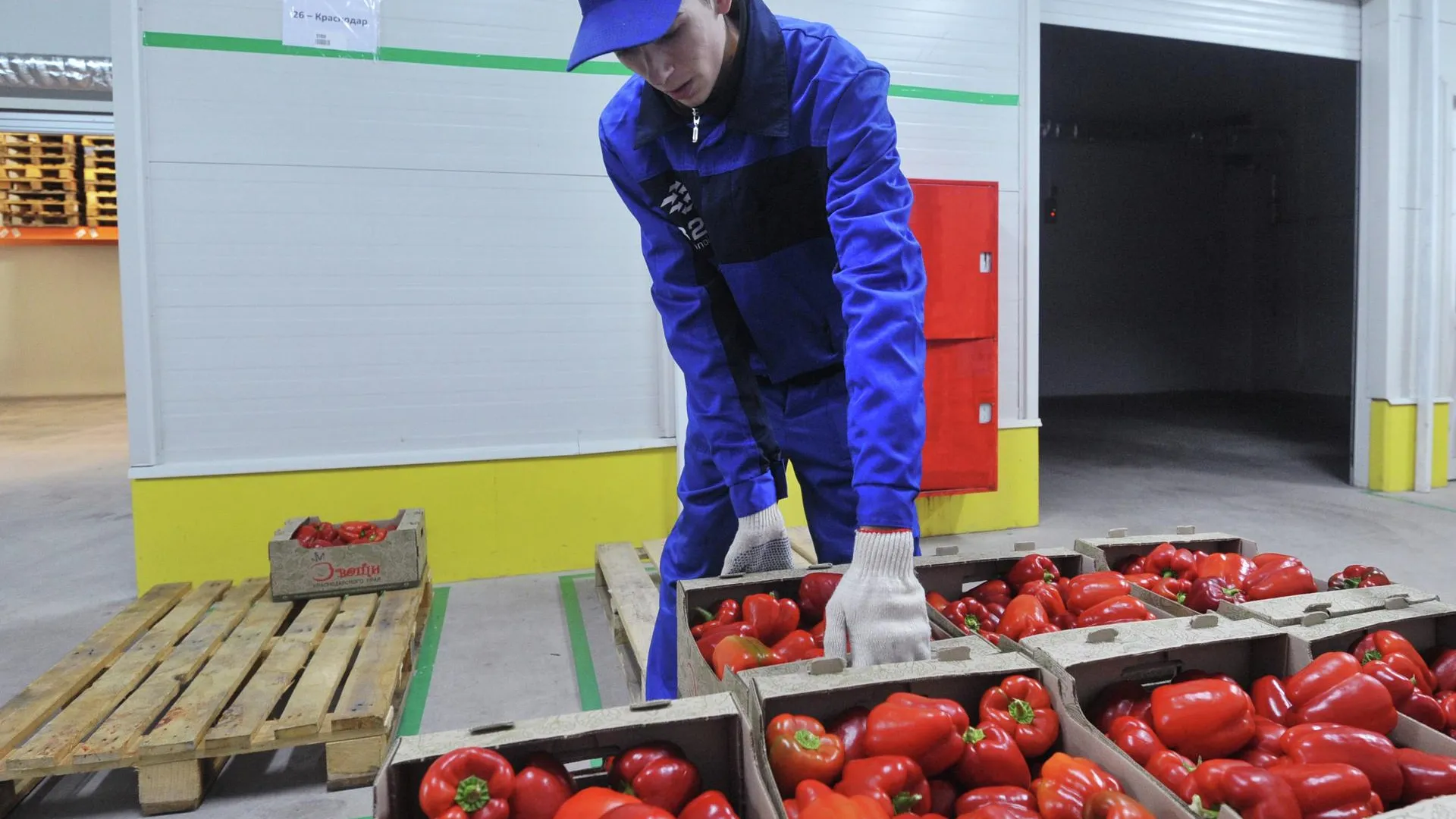 В Рузском округе появится склад для хранения сельскохозяйственной продукции