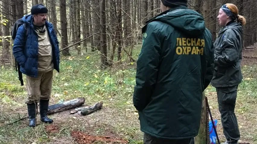 Студенты-лесоводы изучают ход роста ели в лесничестве «Русский лес» в Серпухове
