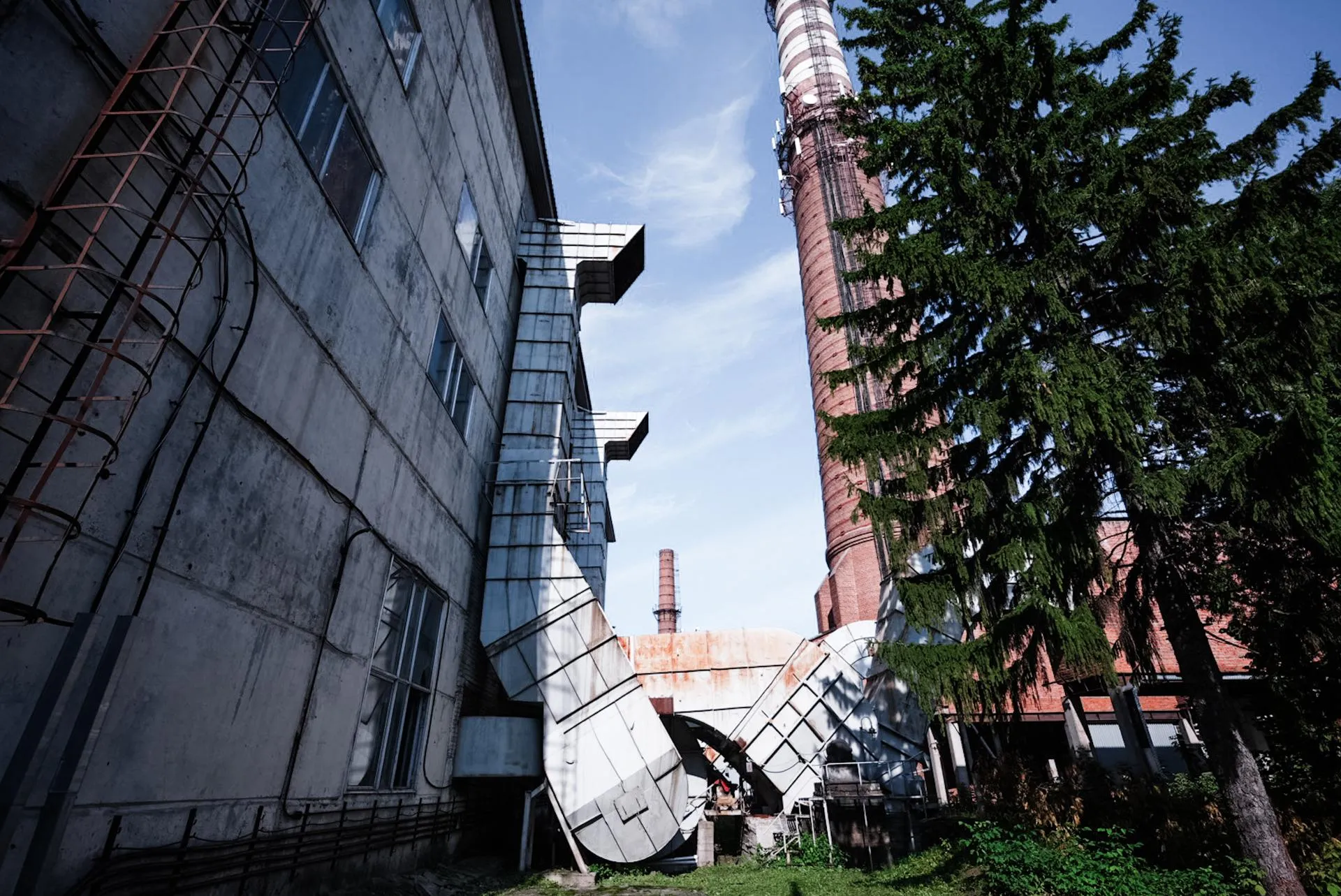 Александра Степанова