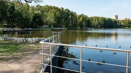 Пешеходный мост через реку Пехорку в Балашихе планируют отремонтировать до конца 2019 г